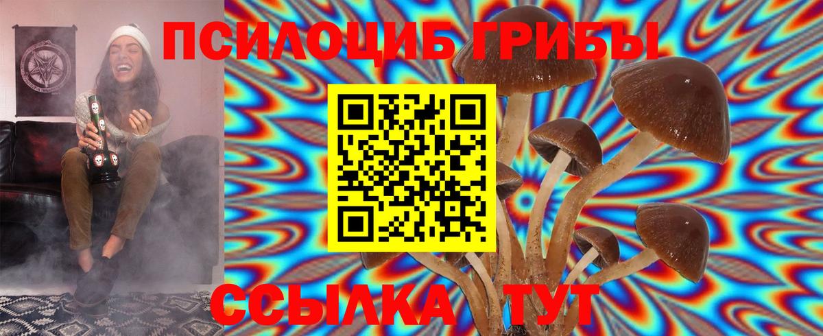 Псилоцибиновые грибы Cubensis Минусинск