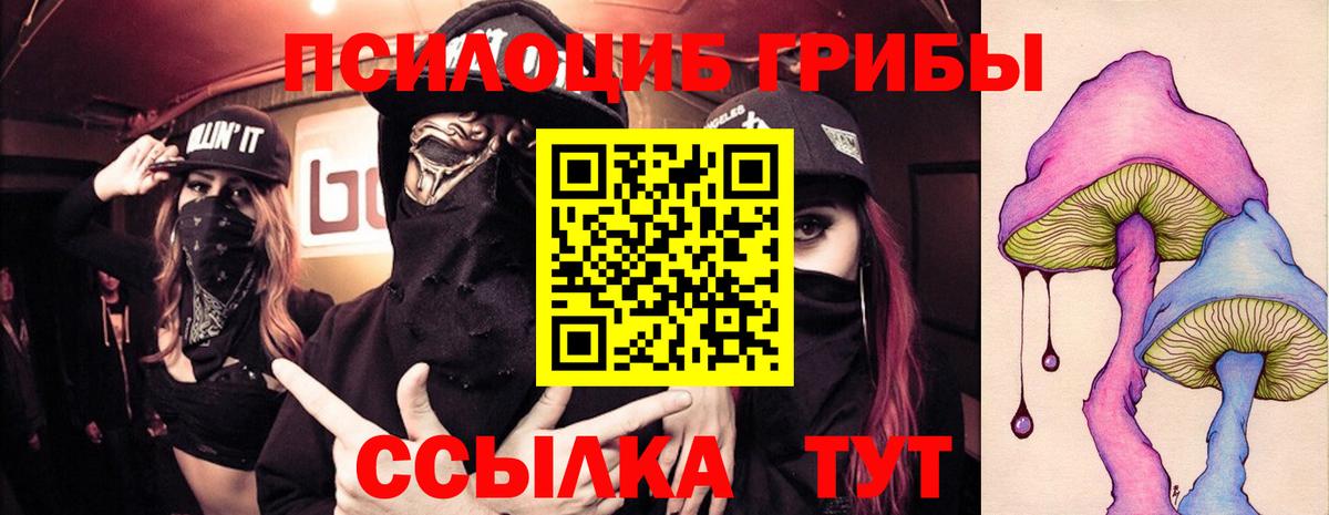 Минусинск  Галлюциногенные грибы Psilocybine cubensis  Вход с VPN  Галлюциногенные грибы MAGIC MUSHROOMS 