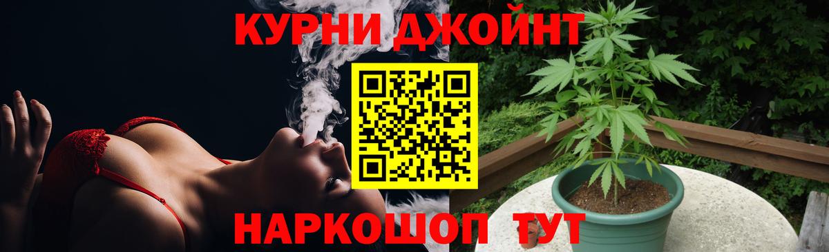 Шишки марихуана план  Марихуана OG Kush  Конопля гибрид  Минусинск  Канабис конопля  Вход с VPN 